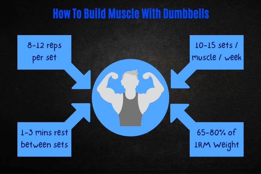 How to build muscle with dumbbells.
