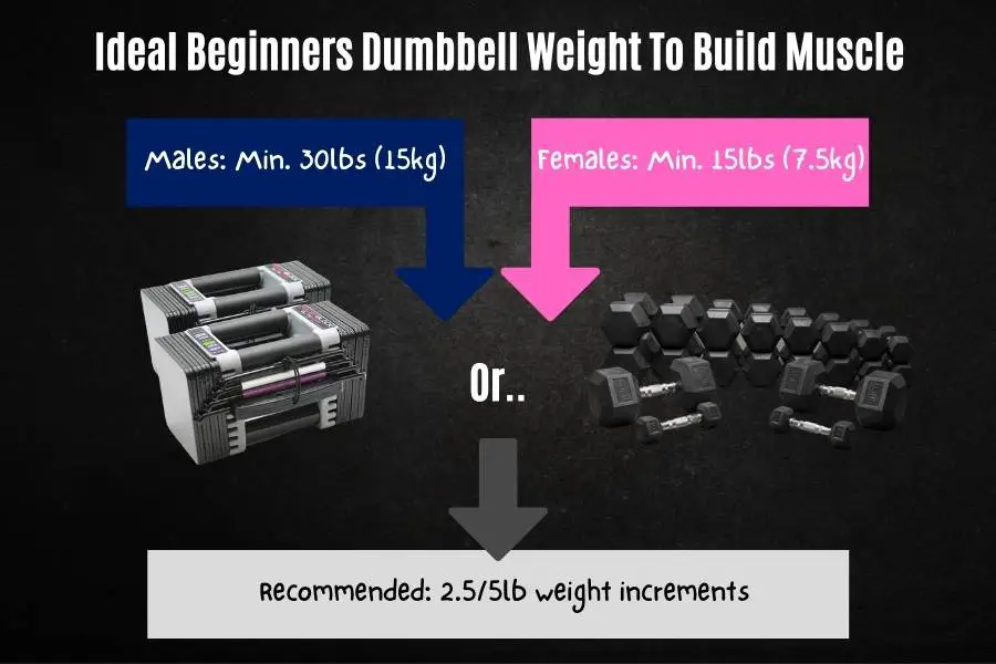 Ideal beginners dumbbell weight to build muscle.