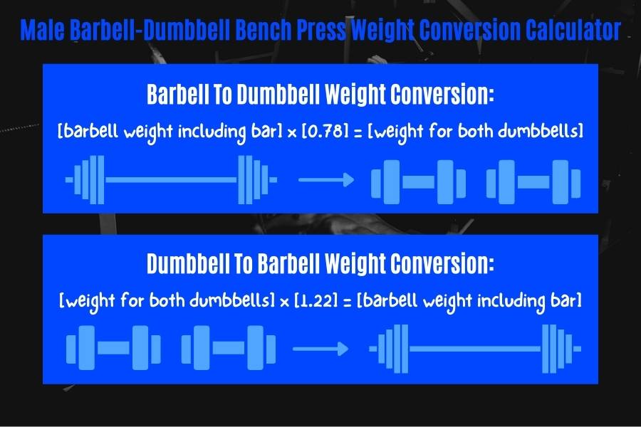Male barbell-dumbbell bench press conversion calculator.