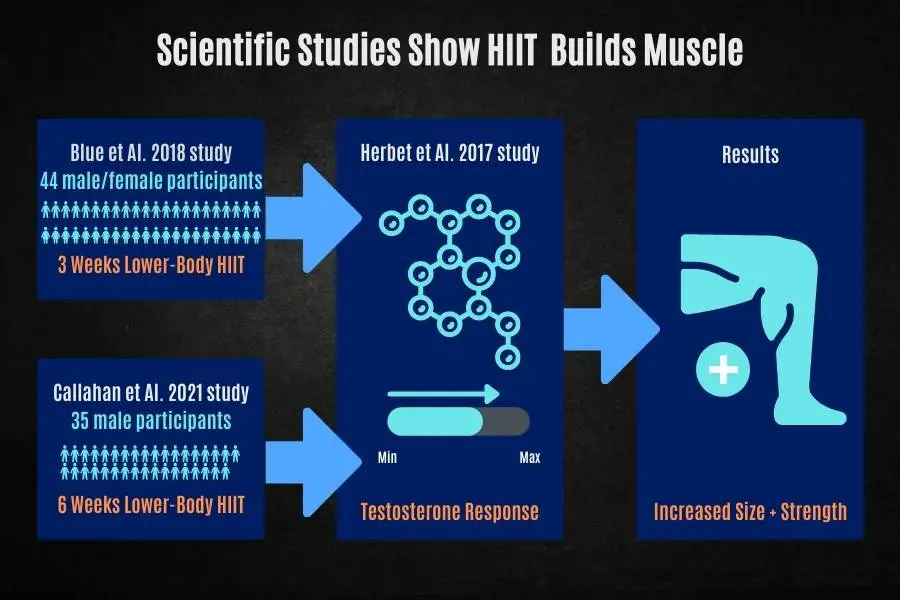 Scientific studies show that HIIT workouts are good to build muscle.