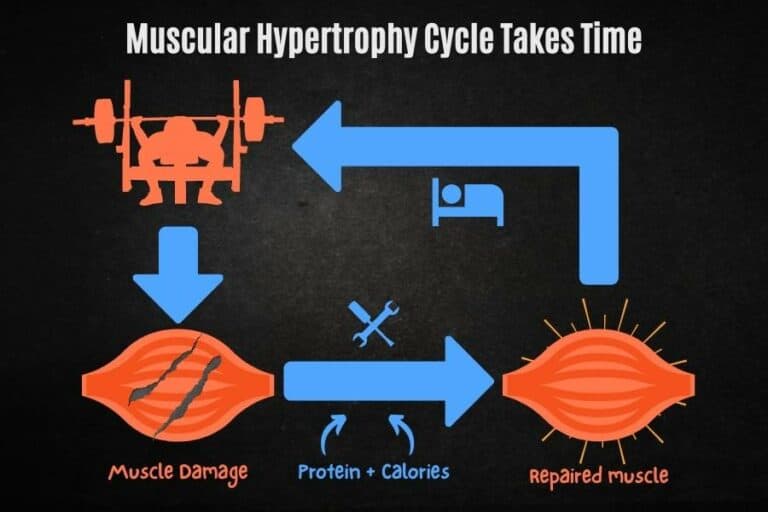 How Long It Takes To Gain 10 Pounds Of Muscle (w/ examples)