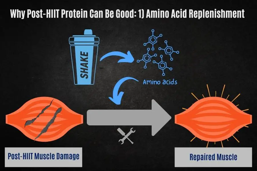 Why a protein shake can be good after HIIT for amino acid replenishment.