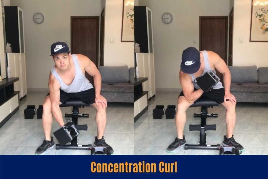 How to do the concentration curl.