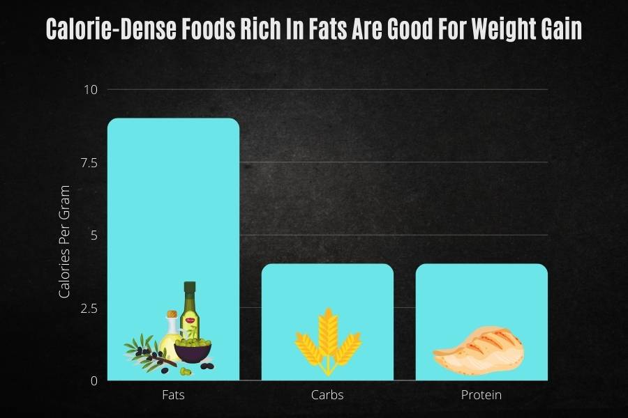 Why eating calorie-dense foods that are rich in fats is the best way to gain the most weight.