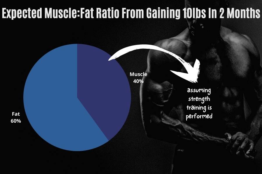 Expected ratio between unhealthy fat and healthy muscle weight gain when trying to put on 10 pounds (5kg) in 2 months.
