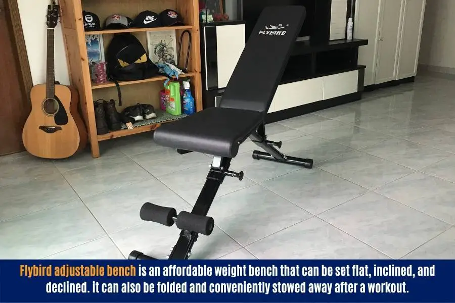 Flybird adjustable weight bench can be used to do incline curls and spider curls.