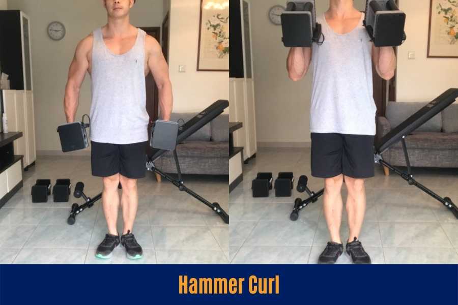 How to do the hammer curl.