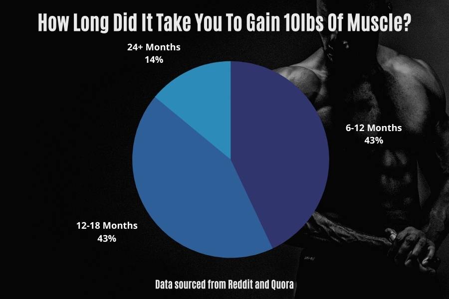 Reddit and Quora say it takes on average 6-12 months to build 10 pounds (5kg) of muscle.