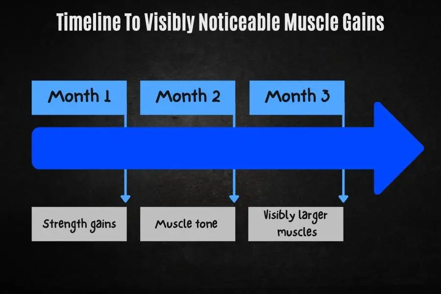 How long it takes to see noticeable and visibly bigger muscles.