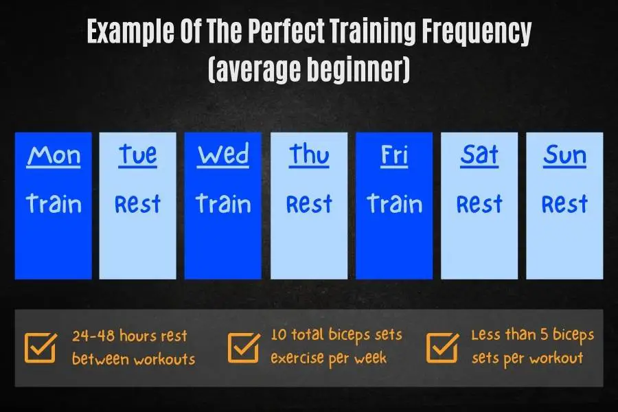 How often you should train the biceps per week.