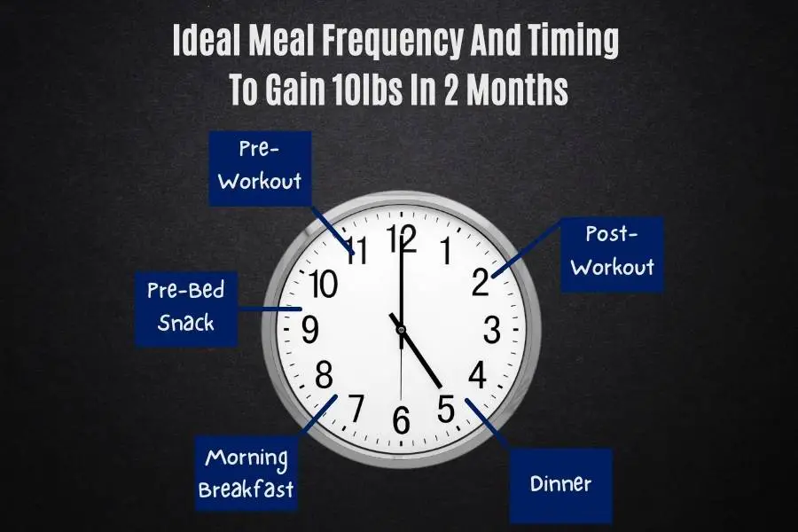 How to eat to gain 10 pounds (5kg) in 2 months by increasing meal frequency and timing.