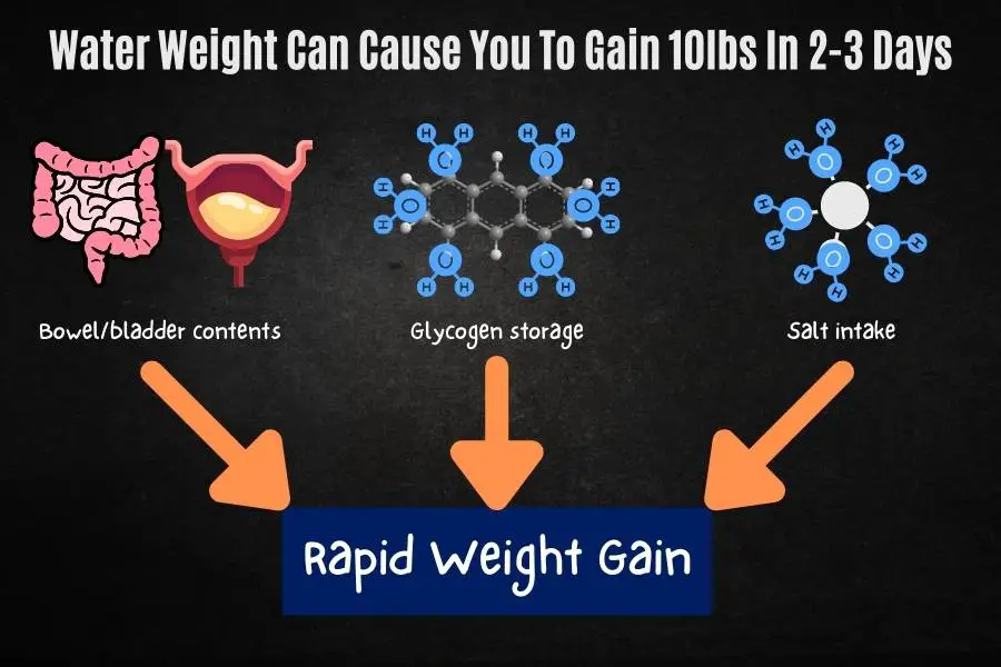 How water weight can cause you to rapidly gain weight over a weekend binge.