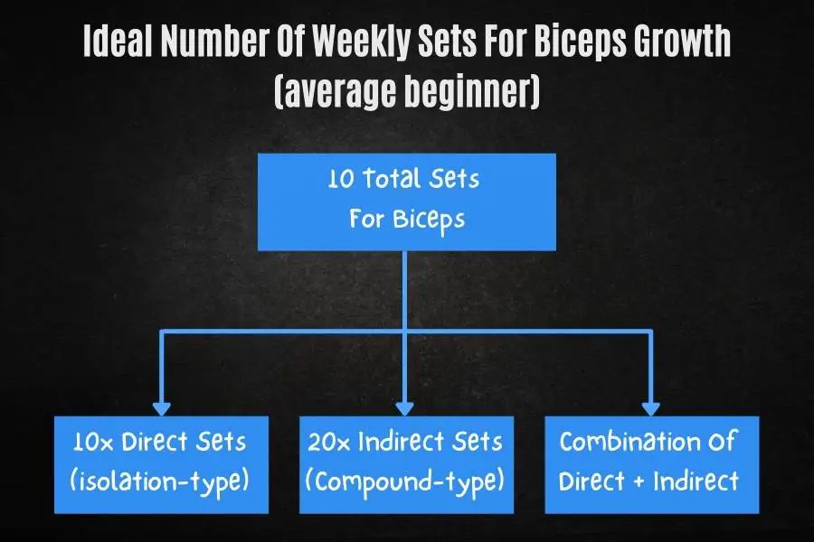 Ideal number of weekly sets for biceps growth, strength, and hypertrophy.