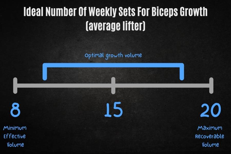 Ideal number of weekly sets for biceps growth.