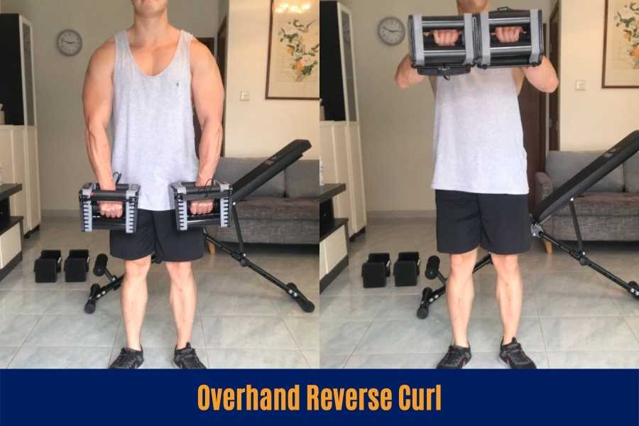 How to do the overhand reverse curl.