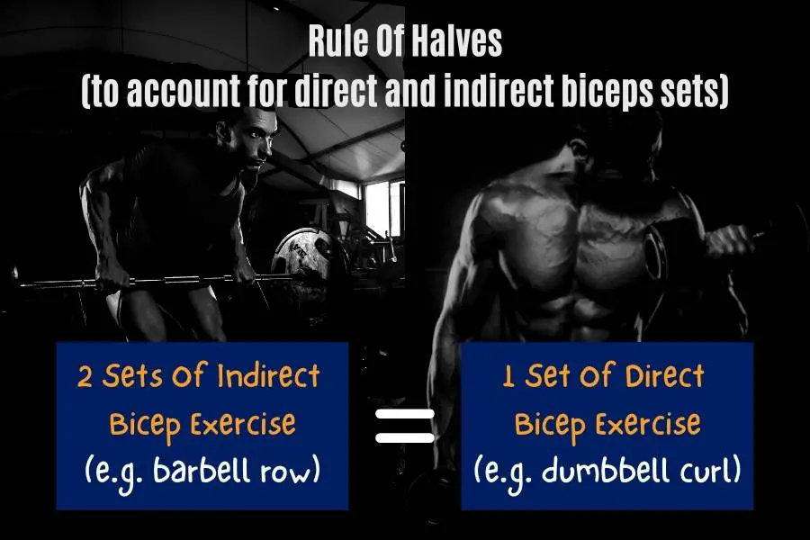 How to account for indirect and direct biceps sets using the rule of halves.