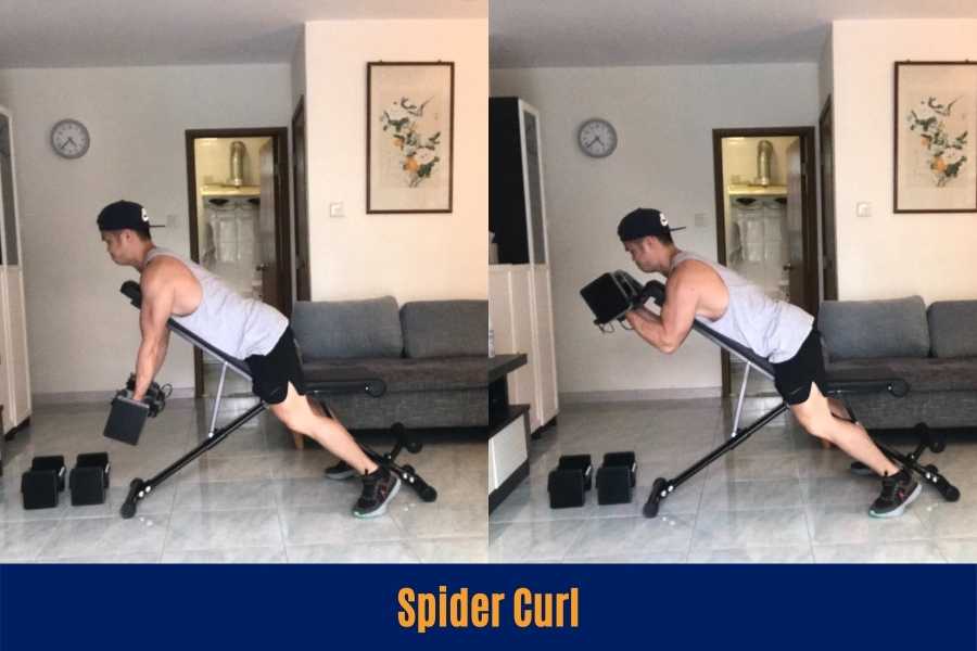 How to do the spider curl.