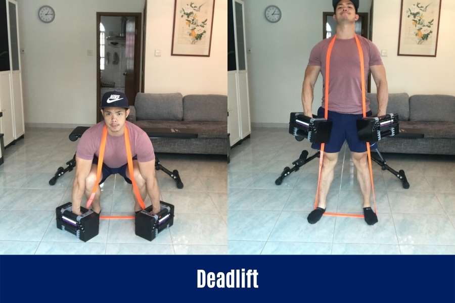 How skinny guys can do the dumbbell deadlift to build full body muscle.