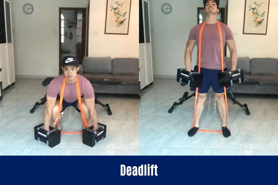 How skinny guys can dumbbell deadlift to gain full body muscle.