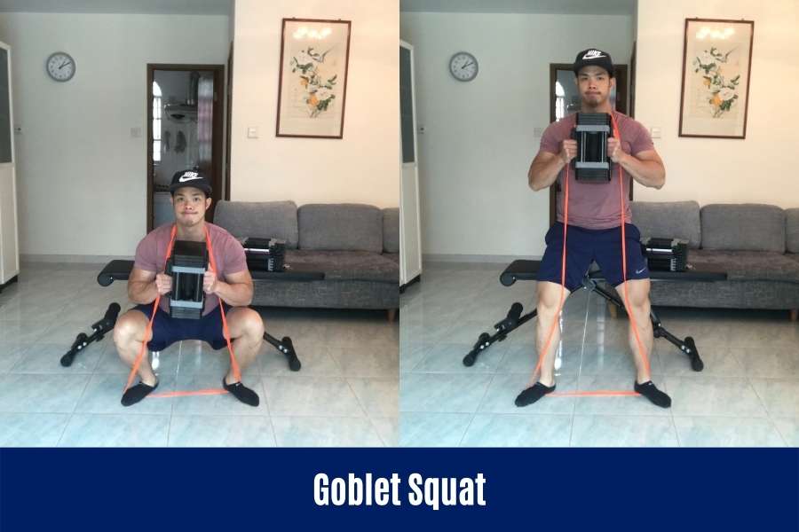 How to do the dumbbell goblet squat to build bigger leg at home.