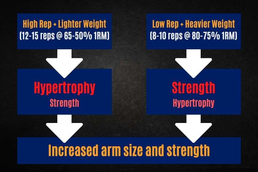 Combine high rep light weight and low rep heavy weight training to maximize arm growth.
