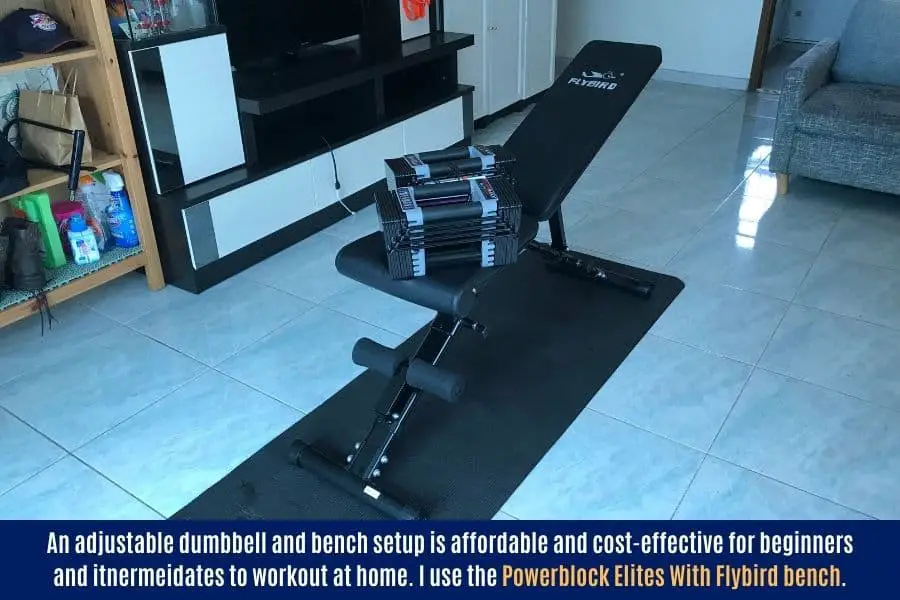 Recommended adjustable dumbbell and bench home gym setup.