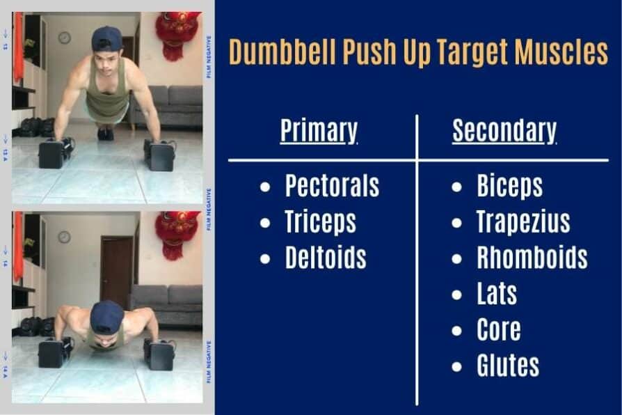 Dumbbell Pushup (what it is, how to do it, and benefits)