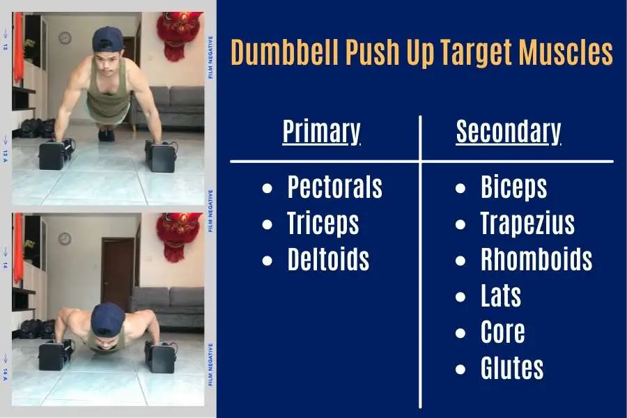 What target muscles dumbbell pushups work.