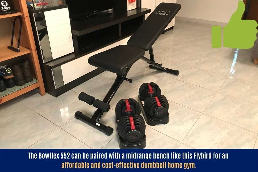 I own a Bowflex 552 and Flybird bench home gym and I think it was worth it.