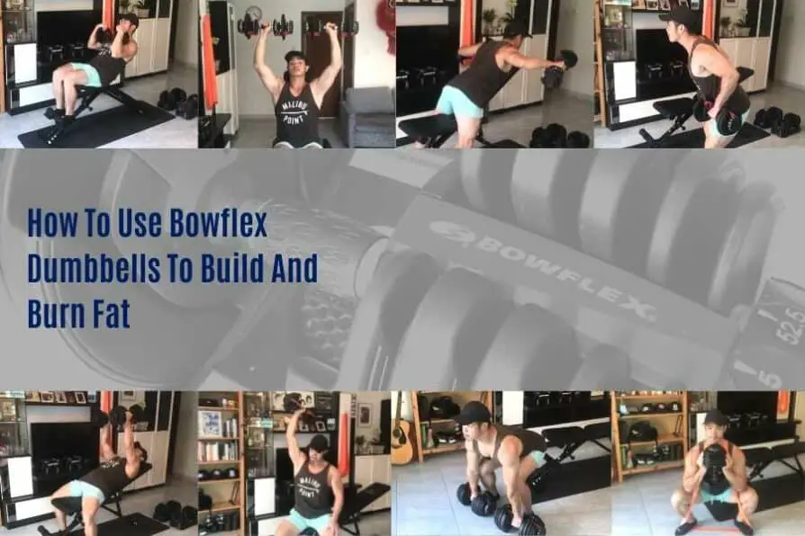 Bowflex dumbbell workout