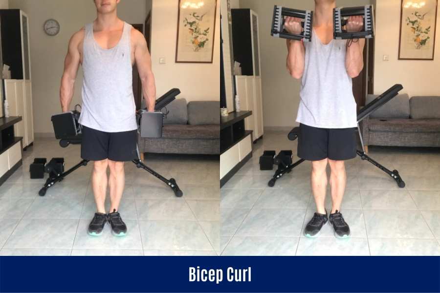 How to do the bicep curl using PowerBlock dumbbells in an arm workout.