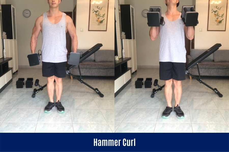 How to hammer curl using PowerBlock dumbbells in an arm workout.