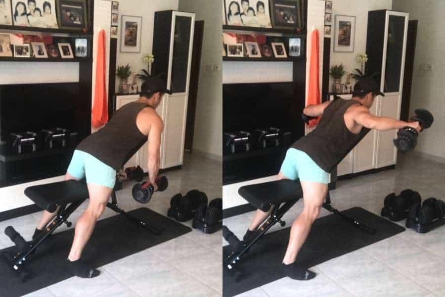 How to do rear delt flyes using Bowflex 552 dumbbells.