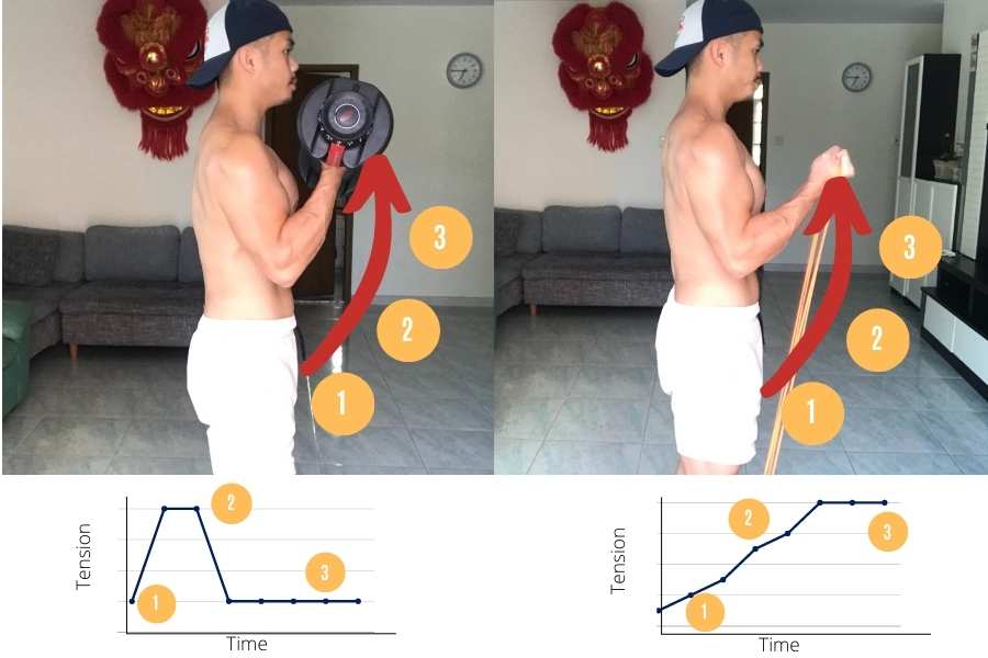 Why resistance bands can be better than dumbbells for muscle activation.