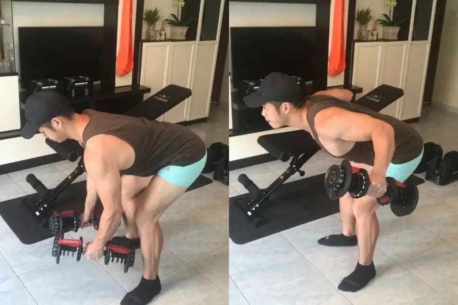 How to do  reverse flyes with Bowflex  552 dumbbells.