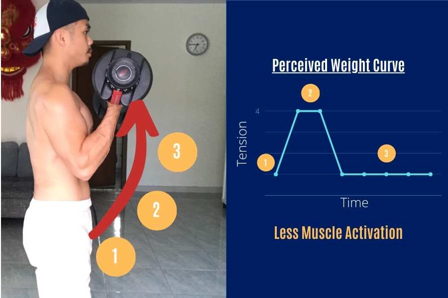 Dumbbell free weight curl strength curve.