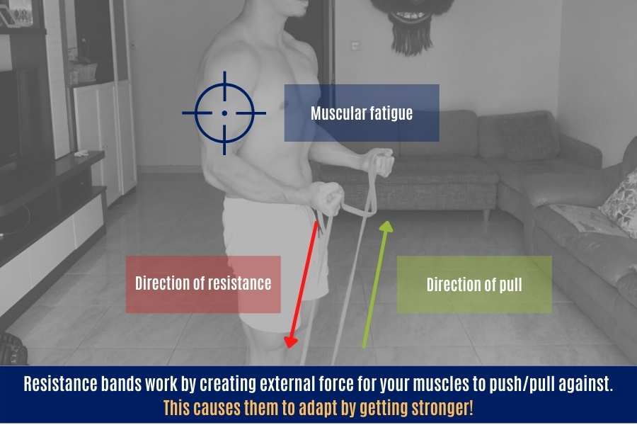 How resistance bands work.