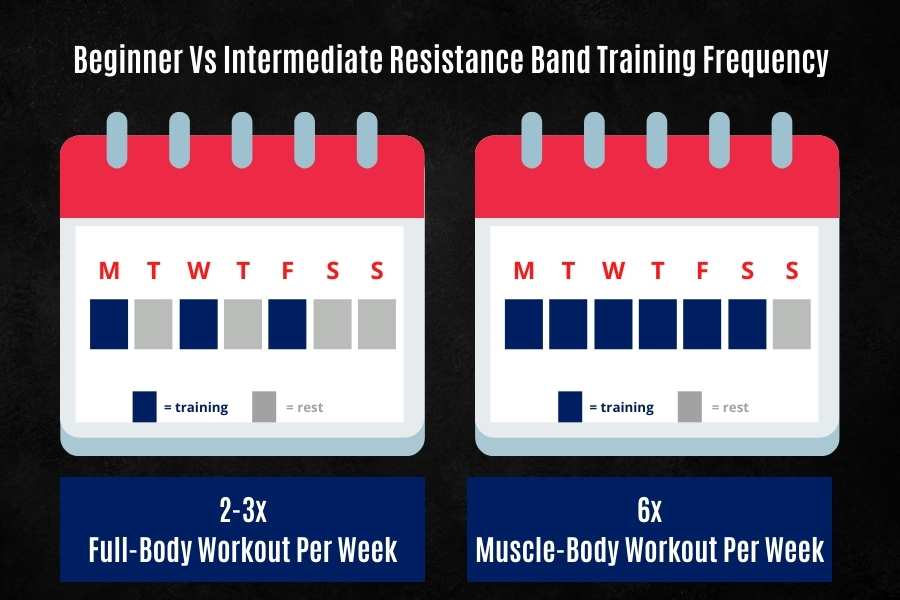Recommended resistance band training frequency for beginners and intermediates.