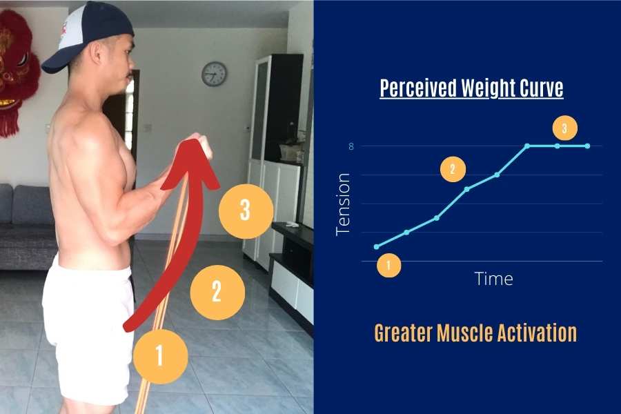 Resistance band curl strength curve.