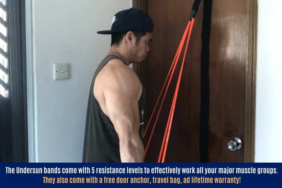 Bands are effective for working all the major muscle groups.