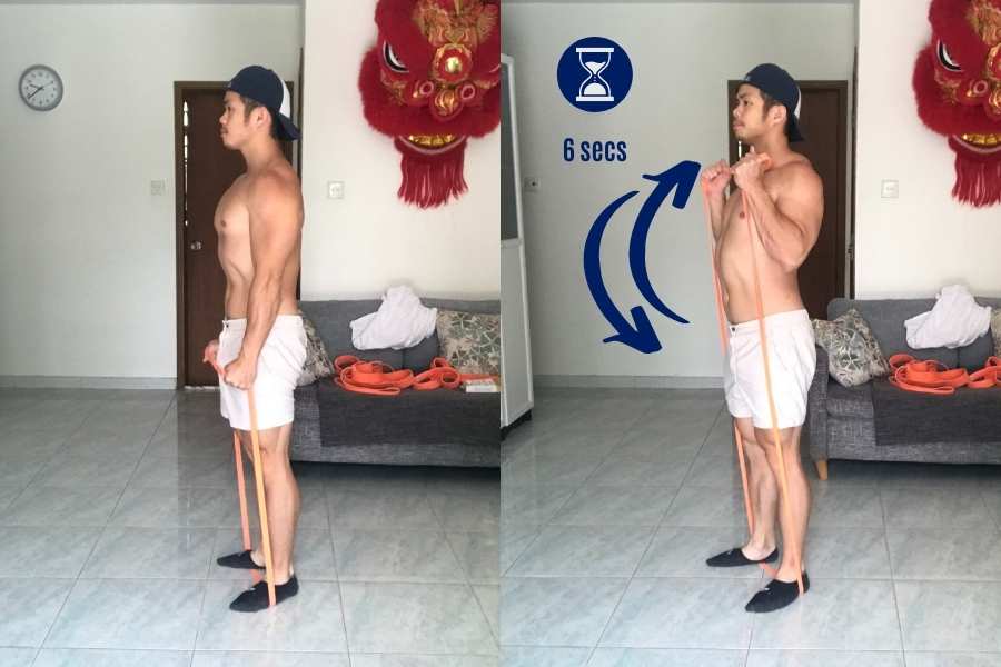 Picture of how to perform tut bicep curls using resistance bands.