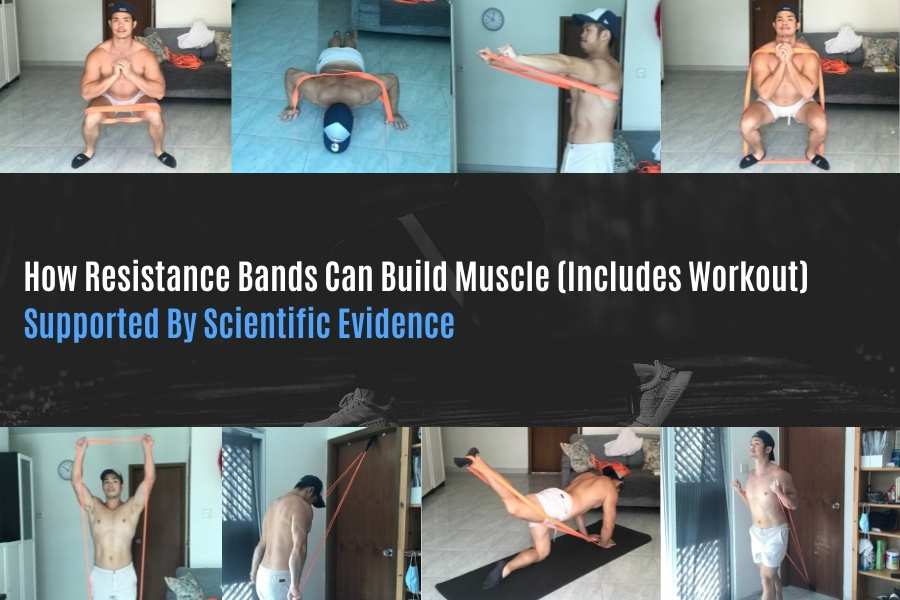 Can you build muscle with resistance bands