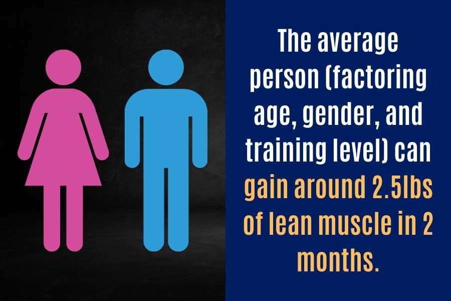 How much muscle the average person can gain in 8 weeks.
