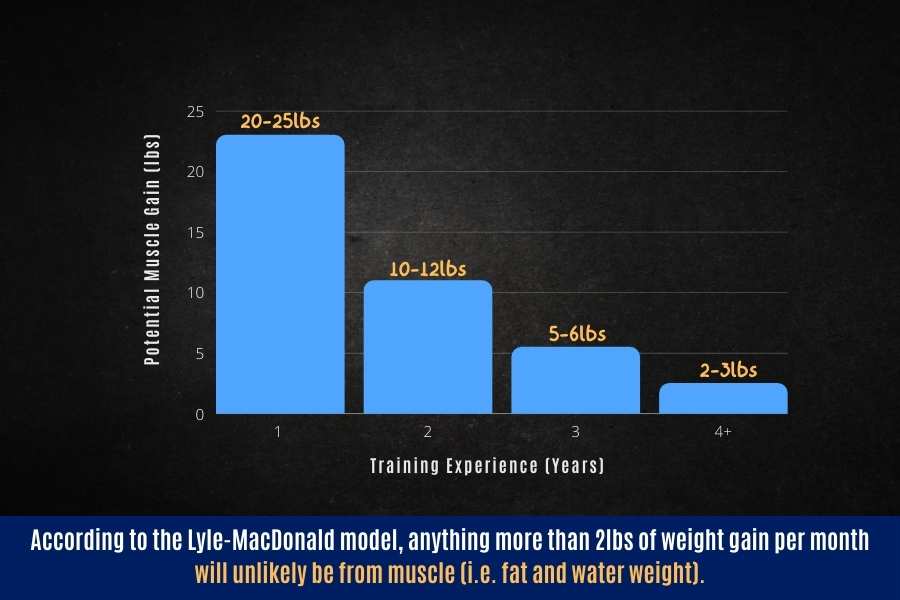 Fastest rate you can put on lean mass.