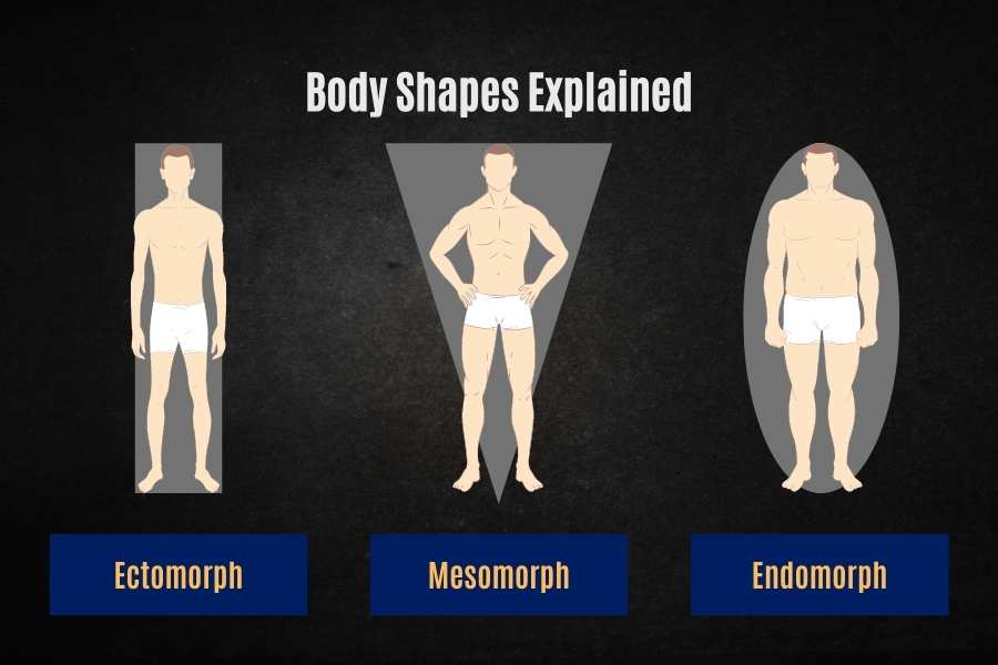 Body shape affects how hard or easy it is for a skinny guy to build muscle.