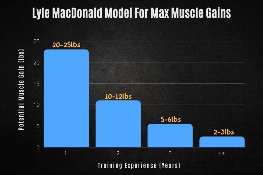 Lyle McDonald model for how fast muscle grows.