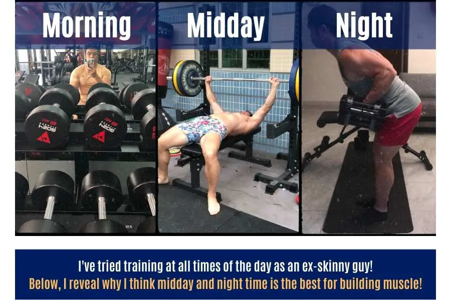 Why I think midday and evening are the best times for skinny guys to workout.