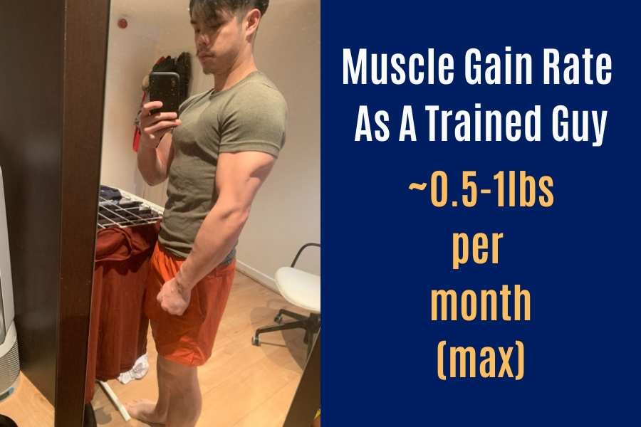 Muscle gain rate and difficulty as a trained guy.