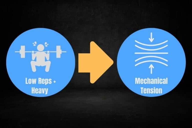 Should Skinny Guys Do High Or Low Reps To Build Mass?