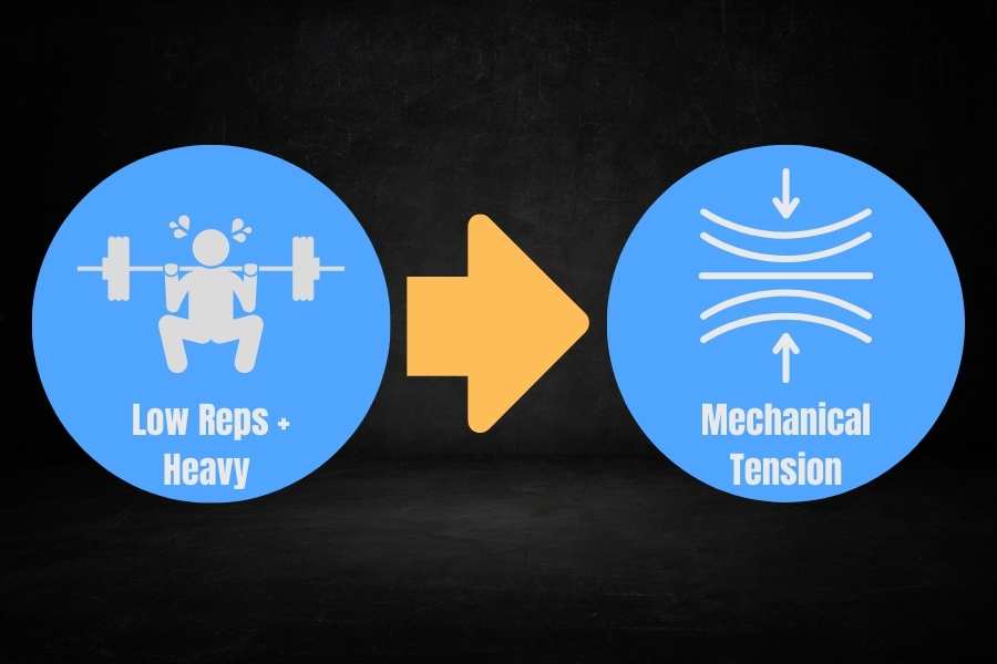 Low reps using a heavy weight is ideal for skinny guys to increase muscle size.